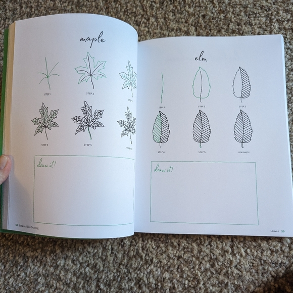 Botanical Line Drawing 200 Step-by-step cacti, leaves, flowers, succulents - Picture 11 of 16